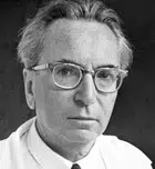 "Una educación que olvida lo esencial", de Viktor Frankl 4 frankl